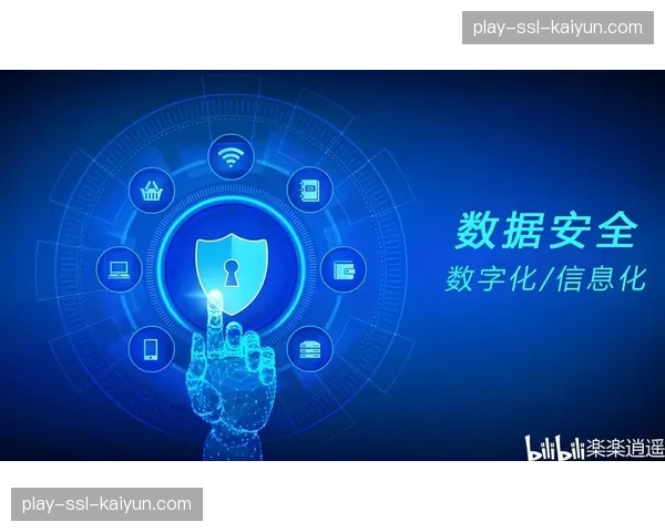 数字化升级阶段，数据安全与隐私保护能力成为体系建设的必备项。